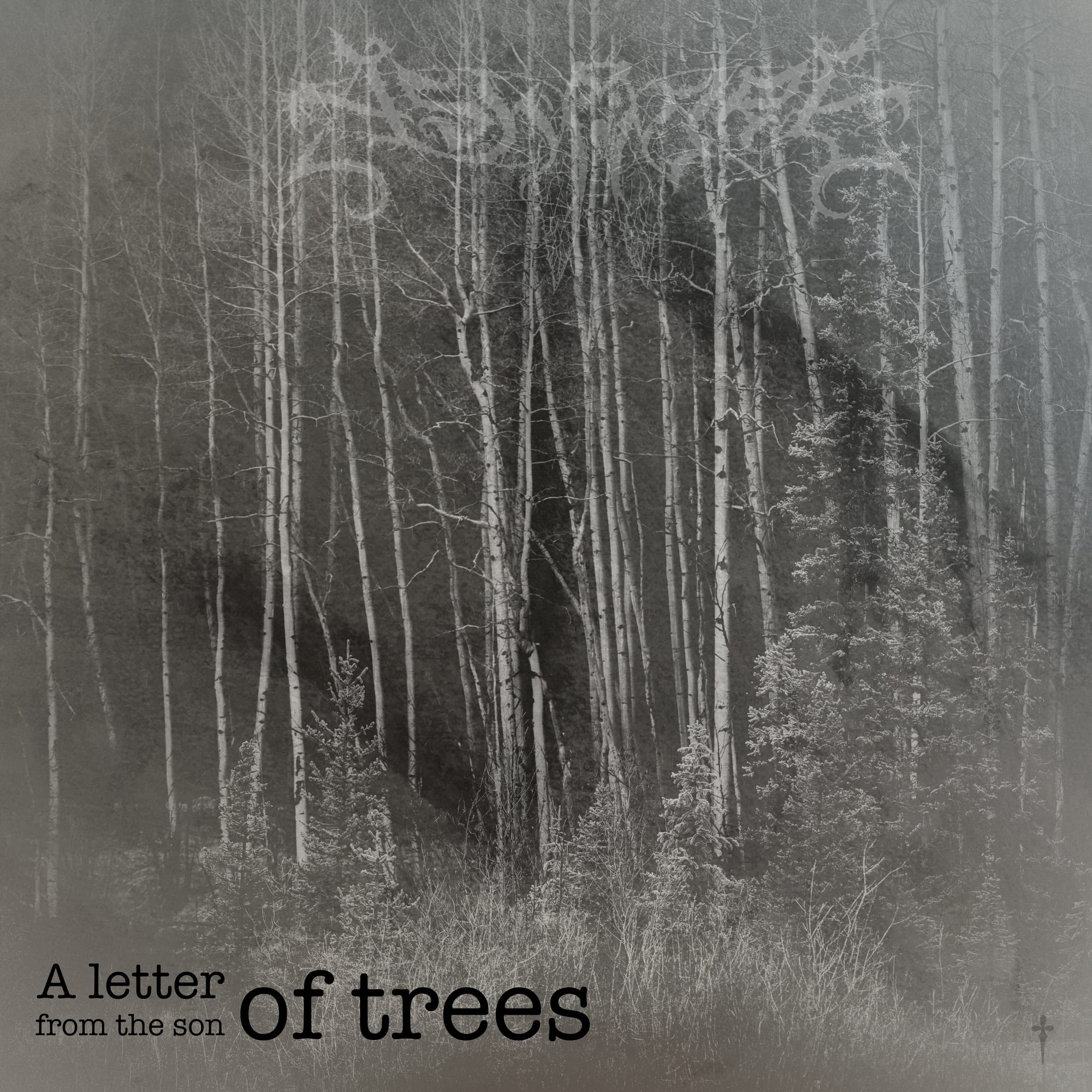 A letter from the son of trees
