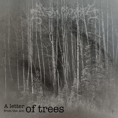A letter from the son of trees
