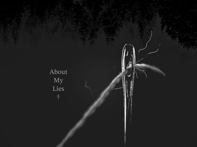 About My Lies
