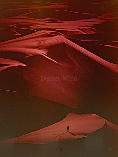 Desert Wind