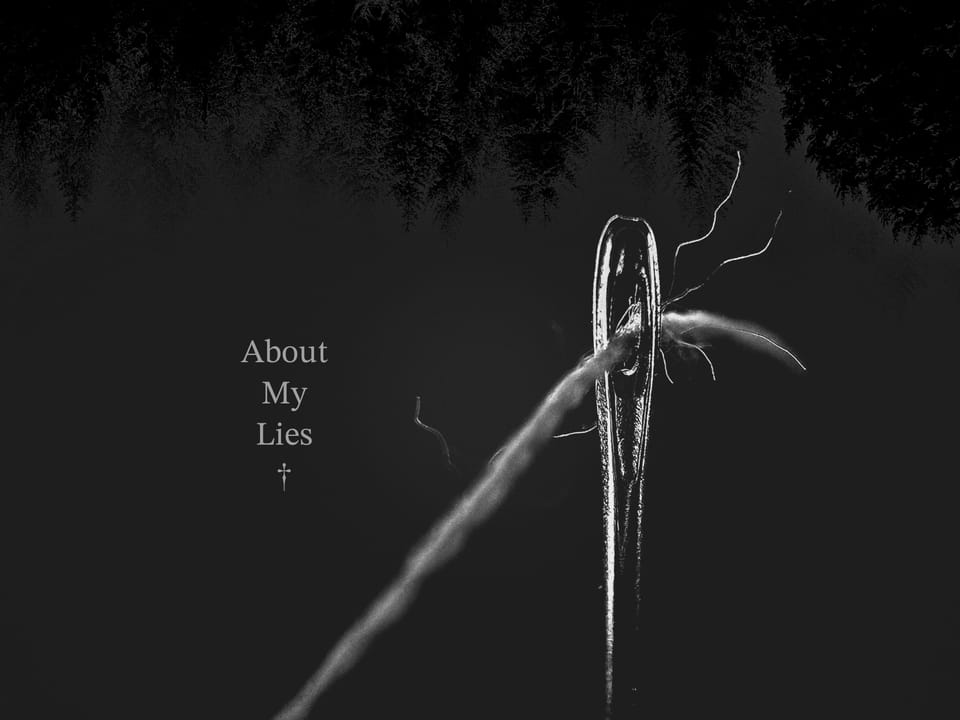 About My Lies