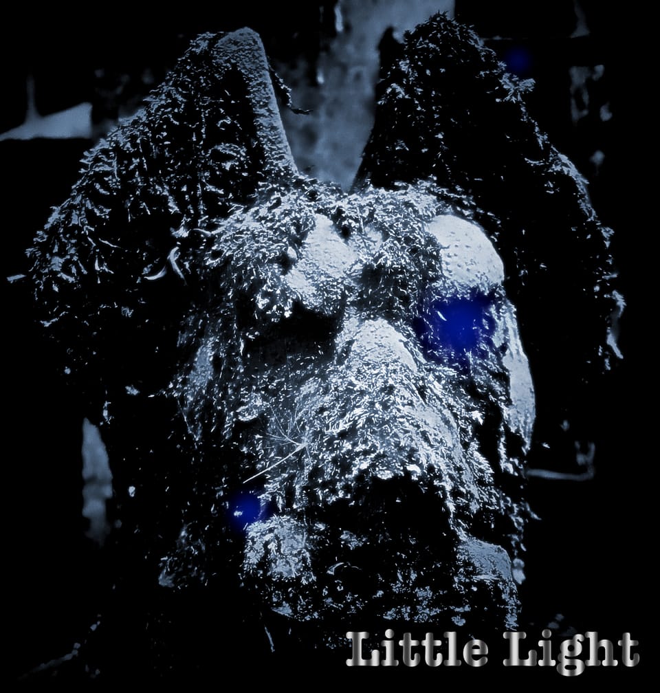 Little Light